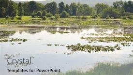  Presentation with swamp - Beautiful theme featuring jamestown - swamp lake and trees backdrop and a light gray colored foreground