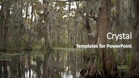  Presentation with swamp - Theme enhanced with swamp near new orleans louisiana background and a tawny brown colored foreground