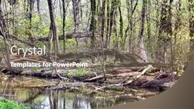  Presentation with swamp - PPT theme enhanced with swamp scene in south west poland background and a gray colored foreground