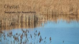  Presentation with autumn - Slide deck enhanced with swampland-lake-in-autumn background and a coral colored foreground