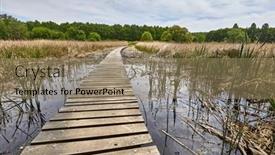  Presentation with path - Theme having swampland-walkway-wooden-board-path background and a coral colored foreground