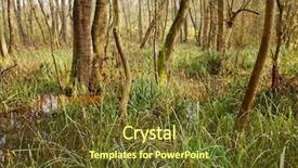  Presentation with lanscape - Presentation having  background and a  colored foreground