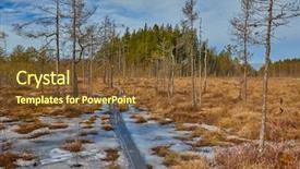  Presentation with lanscape - Beautiful PPT theme featuring swampy bog lanscape in finland backdrop and a tawny brown colored foreground