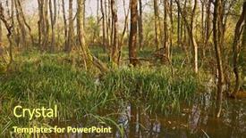  Presentation with lanscape - Slides having wetland conservation - swampy bog lanscape in finland background and a tawny brown colored foreground