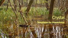  Presentation with lanscape - Presentation design featuring wetland conservation - swampy bog lanscape in finland background and a tawny brown colored foreground