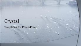  Presentation with prague - PPT layouts consisting of swams-on-vitava-river background and a lemonade colored foreground