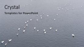  Presentation with prague - Beautiful presentation theme featuring swams-on-vitava-river backdrop and a light gray colored foreground