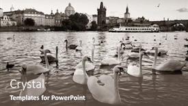  Presentation with historical buildings - Audience pleasing slide deck consisting of swan-and-prague-city-view backdrop and a gray colored foreground