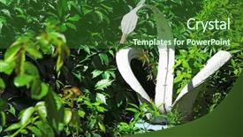  Presentation with tires waste - Slide deck consisting of swan made of tires outdoors background and a forest green colored foreground