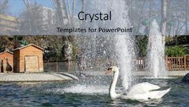  Presentation with turkey - Presentation design having swans - white swan in kugulu swan background and a light blue colored foreground