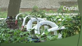  Presentation with tires waste - Amazing slides having swans made of tires outdoors backdrop and a gray colored foreground