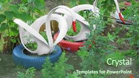  Presentation with tires - Slides enhanced with swans made of tires outdoors background and a ocean colored foreground