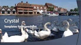  Presentation with prut river - Colorful presentation theme enhanced with swans on the river thames backdrop and a  colored foreground
