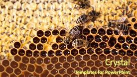  Presentation with honey bee honeycomb - Colorful PPT theme enhanced with swarm - macro shot of bees swarming backdrop and a tawny brown colored foreground
