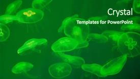  Presentation with jellyfish - Presentation design enhanced with swarm - moon jellyfish aurelia aurita background and a forest green colored foreground