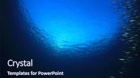  Presentation with fish ocean - PPT theme featuring swarm - sardines fish in ocean background and a navy blue colored foreground