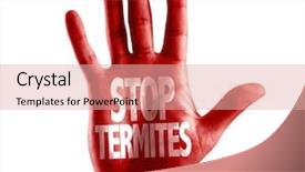  Presentation with stop - Colorful slides enhanced with swarm - stop termites written on hand backdrop and a lemonade colored foreground