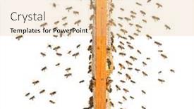  Presentation with flying - PPT layouts having swarm-of-bees-flying-towards background and a lemonade colored foreground