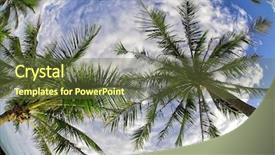  Presentation with coconut palm tree - Cool new PPT layouts with sway - coconut palms on cloud background backdrop and a tawny brown colored foreground