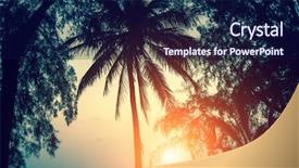  Presentation with palm - PPT layouts having sway - silhouettes of palm against sky background and a navy blue colored foreground