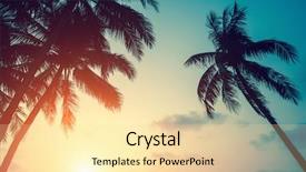  Presentation with palm leaves - Cool new theme with sway - silhouettes of palm leaves backdrop and a blonde colored foreground