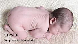  Presentation with old days - Audience pleasing presentation theme consisting of sweet 16 - newborn baby taken closeup 16 backdrop and a soft green colored foreground