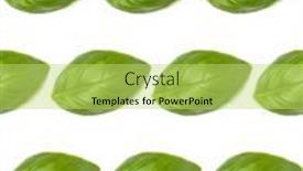  Presentation with sweet basil - Slide deck enhanced with sweet-basil-herb-leaves-isolated background and a yellow colored foreground