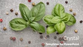  Presentation with sweet basil - Cool new slide set with sweet basil leaves over grey stone background top view backdrop and a gray colored foreground