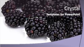  Presentation with blackberry - Cool new PPT theme with opening of a limousine ready backdrop and a gray colored foreground