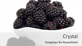  Presentation with blackberry - Slide set featuring sweet blackberry in bowl isolated background and a white colored foreground