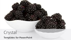  Presentation with blackberry - 