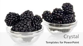  Presentation with blackberry - 