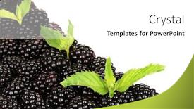  Presentation with blackberry - 