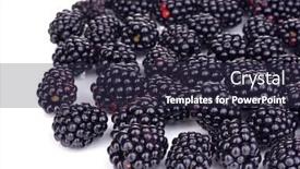  Presentation with blackberry - 