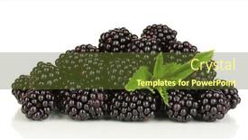  Presentation with blackberry - 