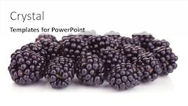  Presentation with blackberry - 