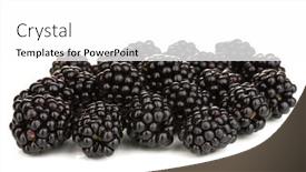  Presentation with blackberry - 