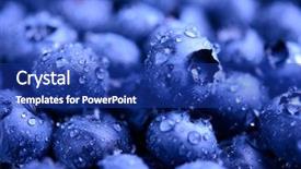  Presentation with fresh water - Slide deck featuring sweet blueberries covered with water background and a royal blue colored foreground