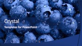  Presentation with leaf water drops fresh - PPT theme with sweet blueberries covered with water background and a ocean colored foreground