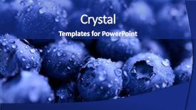  Presentation with fresh water - Slide deck consisting of sweet blueberries covered with water background and a royal blue colored foreground