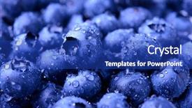  Presentation with fresh water - PPT layouts with sweet blueberries covered with water background and a royal blue colored foreground