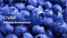  Presentation with fresh water - Theme having sweet blueberries covered with water background and a royal blue colored foreground