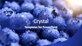  Presentation with water sun - Audience pleasing PPT layouts consisting of sweet blueberries covered with water backdrop and a royal blue colored foreground