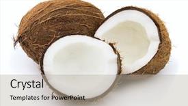  Presentation with coconut fruit - Audience pleasing presentation theme consisting of sweet coconut on a white backdrop and a mint green colored foreground