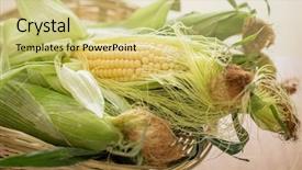  Presentation with sweet corn - Presentation design having sweet corn in basket background and a soft green colored foreground