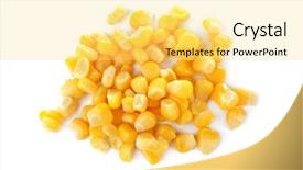  Presentation with sweet corn - Beautiful PPT theme featuring sweet corn kernels on white backdrop and a yellow colored foreground