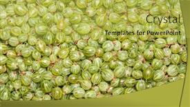  Presentation with gooseberry - PPT layouts featuring sweet-green-gooseberry-background-texture background and a yellow colored foreground