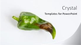  Presentation with pepper - Presentation theme with sweet-green-pepper-with-sun background and a sky blue colored foreground