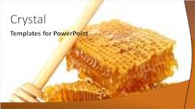  Presentation with honeycomb - 