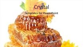  Presentation with honey bee honeycomb - Theme enhanced with sweet honeycomb with honey bee and flowers isolated on white background and a white colored foreground